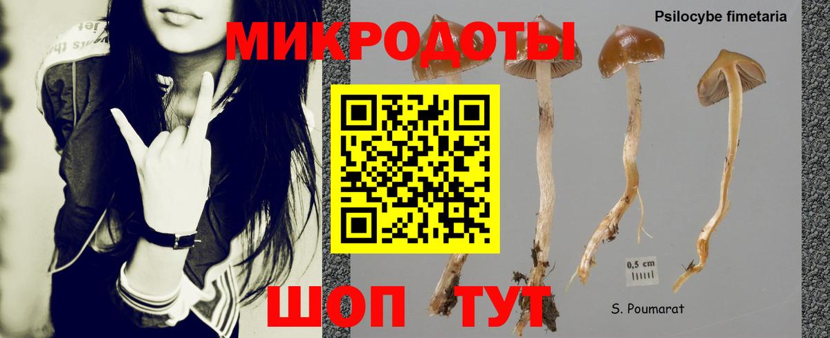 Галлюциногенные грибы мухоморы  Вход с VPN  Галлюциногенные грибы мухоморы  Гусиноозёрск 